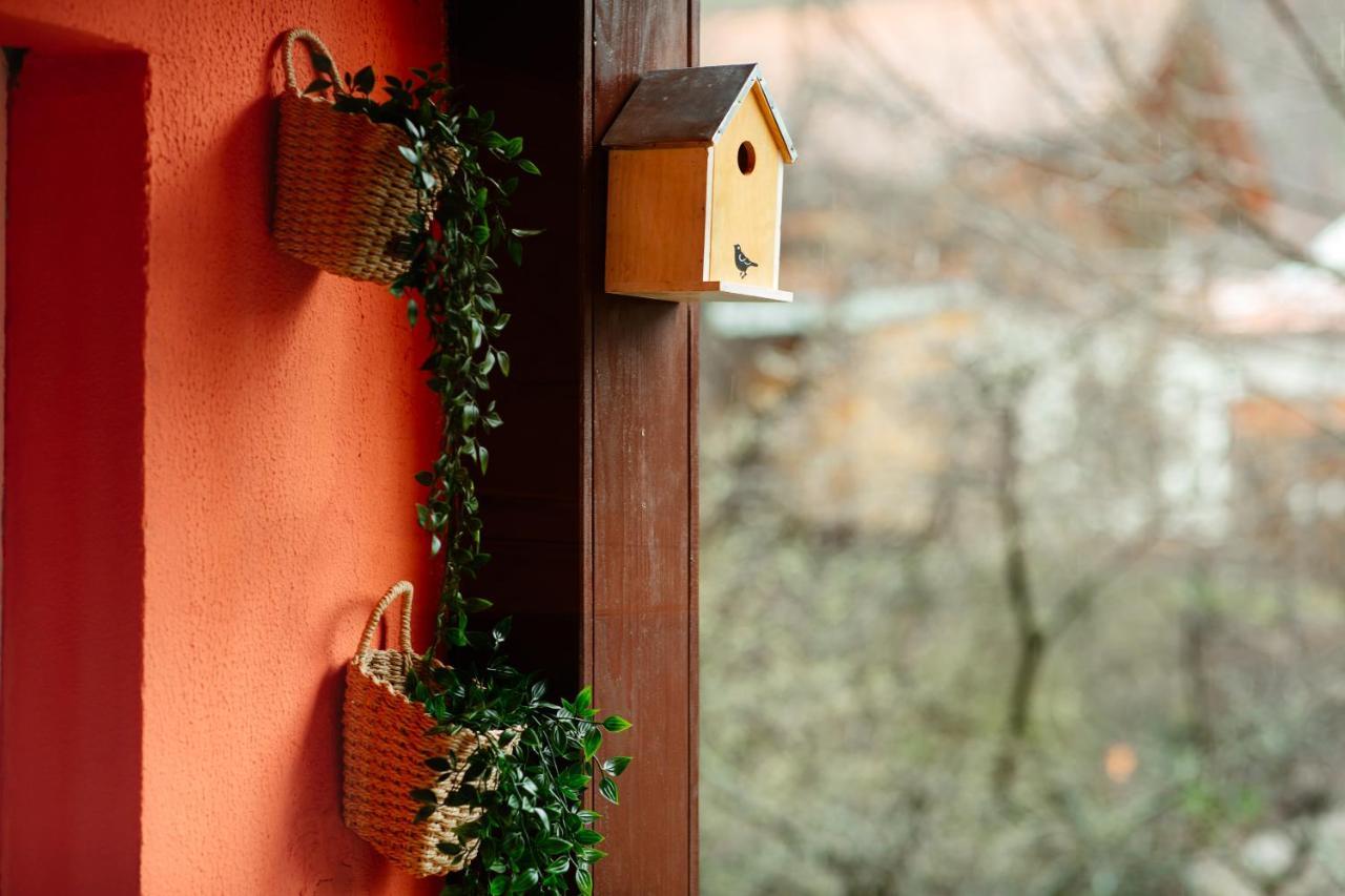 Home & Garden With Stunning View Sinaia Exterior foto